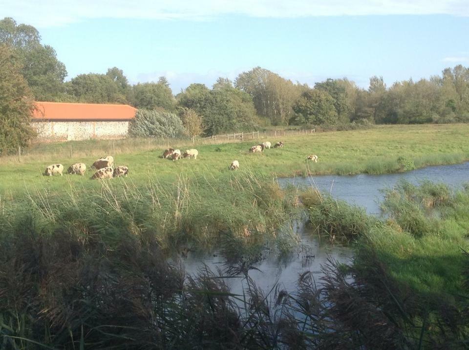 Lackford Lakes Barns Дом отдыха Flempton